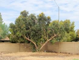 לפרטים נוספים לחץ כאן